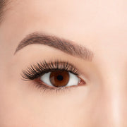 Ardell Faux Mink Lashes Black Demi Wispies (Model Shot B1)